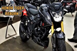 Honda Tiger Reborn Resmi Meluncur, Bawa Mesin 184,4cc Harganya Cuma Rp 25 Jutaan Brosis