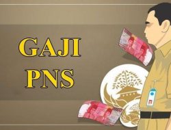 Resmi! Besaran Gaji PNS Terbaru di 2024 dan Daftar Lengkapnya