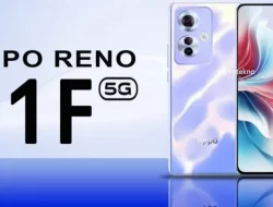 Review Oppo Reno 11F: Smartphone Murah dengan Kamera Berkualitas