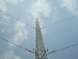 Viral Berniat untuk Selamatkan Warga yang Mabuk dari Atas Tiang Tower, Anggota Basarnas Ini Malah Kehilangan Nyawa