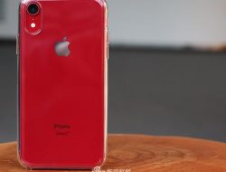 iPhone XR: Masih Diminati di Tahun 2024?