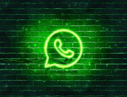 Ini Dia Trik Rahasia Agar Tetap Terlihat Offline Saat Bermain WhatsApp