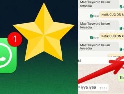 Inilah Cara Melihat Pesan Berbintang di Aplikasi WhatsApp dengan Mudah