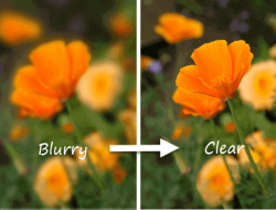 Ini Dia Cara Jitu Memperjelas Foto yang Blur Hanya Menggunakan HP