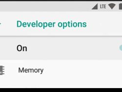 Keuntungan dan Cara Mengaktifkan Mode Developer di Smartphone Android