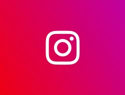 Begini Cara Mudah Melihat Insight Instagram Orang Lain