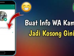 Cara Mudah Membuat Info WhatsApp Menjadi Kosong, Dijamin Pasti Berhasil!