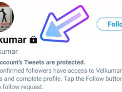 Cara Mudah Melihat Akun Private Twitter Tanpa Harus Follow