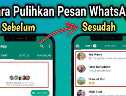 Begini Cara Melihat Pesan WA Lama yang Sudah Dihapus