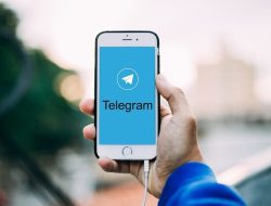 Begini Cara Rahasia Melihat Last Seen di Aplikasi Telegram dengan Mudah