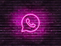Begini Cara Login WhatsApp dengan Nomor yang Hilang Tanpa Kode Verifikasi