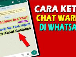 Cara Mudah Membuat Tulisan Berwarna di Aplikasi WhatsApp