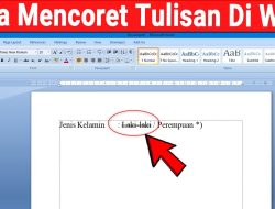 Ini Dia Cara Mudah Membuat Coretan Tulisan di Word