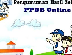 Inilah Cara Cek Hasil Seleksi PPDB Online dengan Mudah dan Cepat