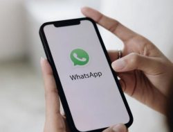 Inilah Cara Praktis Mengembalikan Foto WhatsApp yang Hilang di Galeri Ponsel