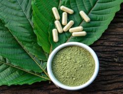 Mengenal Tanaman Kratom yang Bisa Jadi Potensi Bisnis Tinggi Bagi Indonesia