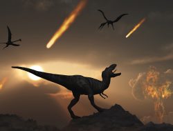 Apa yang Menyebabkan Dinosaurus Menjadi Punah?