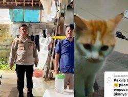 Viral! Bapak Kos Makan Daging Kucing untuk Sembuhkan Diabetes, Ternyata Ini Bahayanya