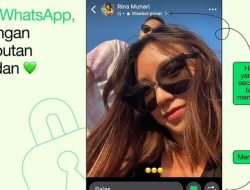 WhatsApp Terbaru: Fitur Like dan Mention di Status Kini Tersedia!