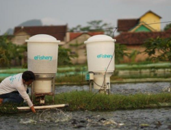 eFishery Guncang! Petinggi Perusahaan Unicorn Ini Terlibat Kasus Dugaan Penyelewengan