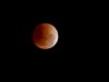 Jangan Lewatkan! Gerhana Bulan Total 14 Maret 2025, Fenomena “Blood Moon” yang Spektakuler