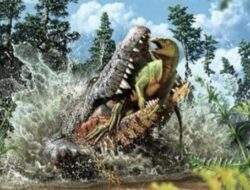 Buaya Purba Jauh Lebih Besar dan Lebih Tangguh dari Dinosaurus, Fakta yang Mengejutkan!