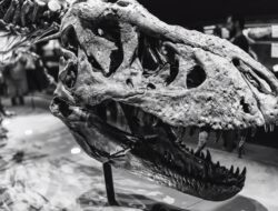 Fosil Dinosaurus Raksasa Ditemukan, Diduga Salah Satu Terbesar di Dunia