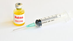 Urgensi Program Vaksin Rabies di Bali: Fakta dan Tantangan